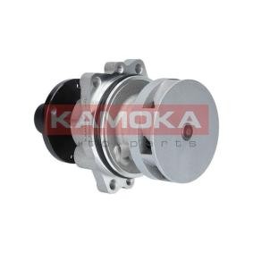 KAMOKA Bomba de agua T0058