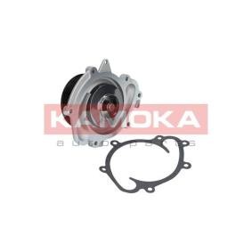 Купить KAMOKA Водяной насос T0073