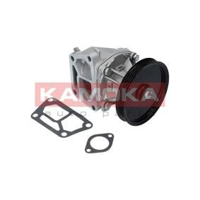 KAMOKA Vandpumpe T0123