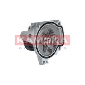 KAMOKA Vandpumpe T0148