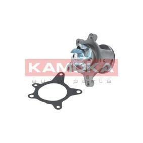 KAMOKA Pompe à eau T0163