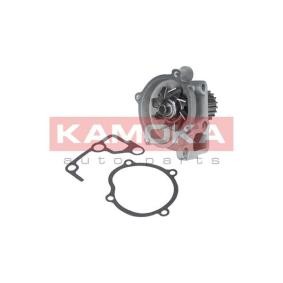 KAMOKA Vesipumppu T0170