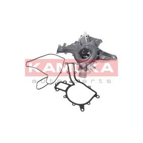 KAMOKA Pompe à eau T0188