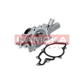 Spletna trgovina z KAMOKA Vodna crpalka T0193