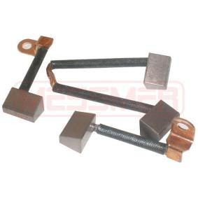 ERA Koolborstel, startmotor 233095