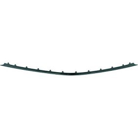 DIEDERICHS Trim / Protective Strip, radiator grille 1615161