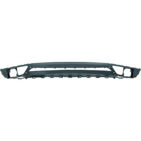 DIEDERICHS Spoilerlippe vorne 2287061