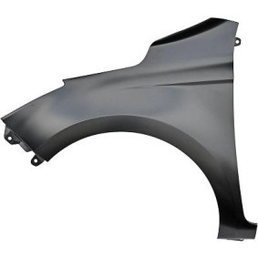 6806207 DIEDERICHS Wing for HYUNDAI GETZ
