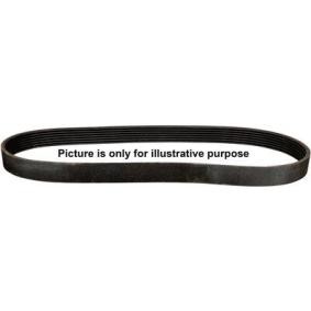 JP GROUP Keilrippenriemen 1318100800