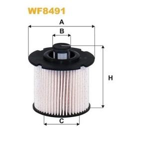 WIX FILTERS Kraftstofffilter Filtereinsatz WF8491