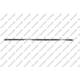 PRASCO Trim / Protective Strip Set, bumper VG0551275