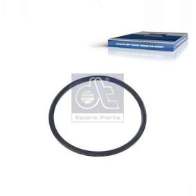 DT Spare Parts Gasket, thermostat 4.20723