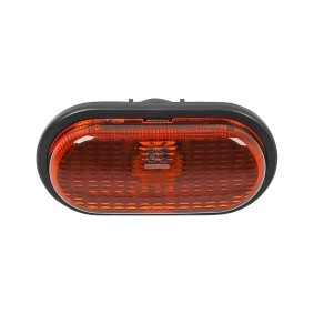 DT Spare Parts Blinker 6.85016SP
