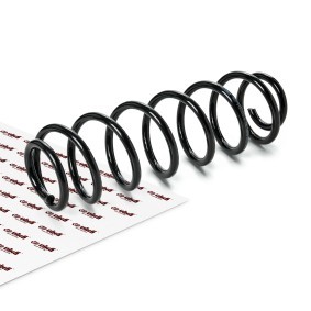 VIKA Fahrwerksfeder Hinterachse 45110046001