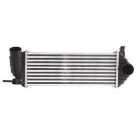 THERMOTEC Intercooler DAR006TT