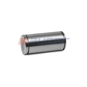 AUGER Bullone ganasce freno 53039