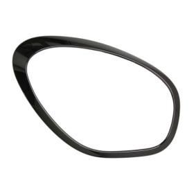 BLIC Cadre, projecteur principal 6502-07-4003994P