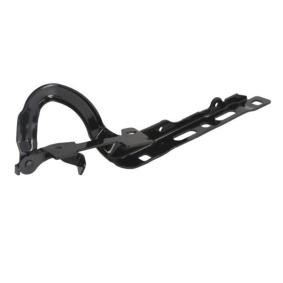 BLIC Charnière, capot-moteur 6802-00-5509452P