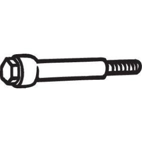 BOSAL Ruuvi, pakoputkisto 258-771