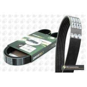 BGA Keilrippenriemen 1698mm, 6 6PK1698