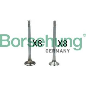 Borsehung Válvula B18628