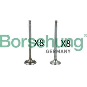Borsehung Soupape B18630