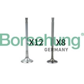 Borsehung Soupape B18636
