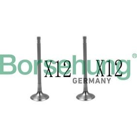 Borsehung Soupape B18639