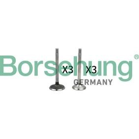 Borsehung Soupape B18765