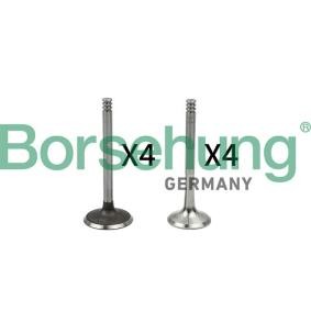 Borsehung Soupape B18766