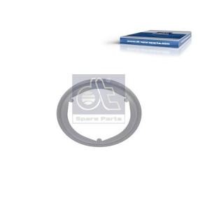 Spletna trgovina z DT Spare Parts Tesnilka, izpusna cev 11.23075