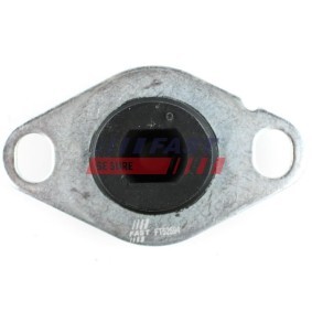 Spletna trgovina z FAST Vlezajenje, motor FT52594