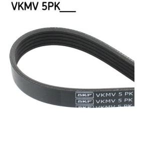 SKF Courroie Poly-V VKMV 5PK1100