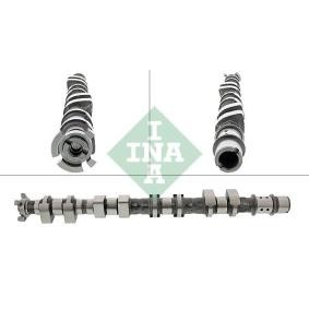 INA Camshaft 428 0176 10