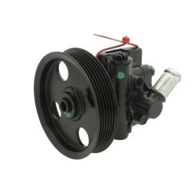 LAUBER Servopumpe 55.4296