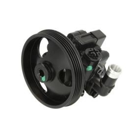 LAUBER Servopumpe 55.4305