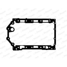 PAYEN Carterpakking JH5200