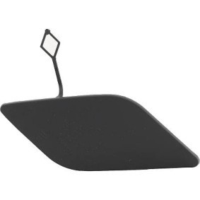 DIEDERICHS Flap, tow hook 1616064