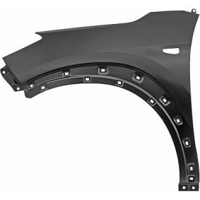 6862107 DIEDERICHS Wing fender for HYUNDAI GETZ