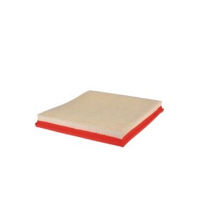 FILTRON Luftfilter AP 030/2