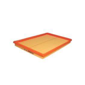 Pirkti FILTRON Oro filtras AP 050