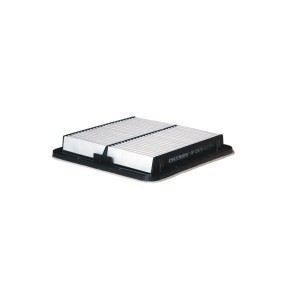 FILTRON Luftfilter AP 121/3