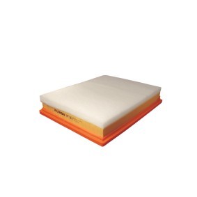 FILTRON Luftfilter AP 137/5