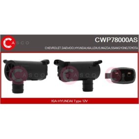 CASCO Pompe d'eau de nettoyage, nettoyage des vitres CWP78000AS