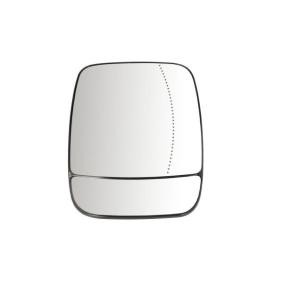 BLIC Mirror Glass, outside mirror 6102-02-1291966P