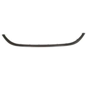 BLIC Suoja- / koristelista, jäähdyttimen säleikkö 6502-07-2030992P