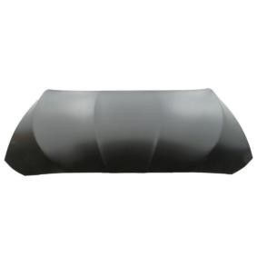 original BMW X5 BLIC Motorhuv 6803-00-0067280AQ