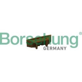 Borsehung Carril de deslizamiento, cadena de distribución B1G023