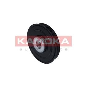KAMOKA Crankshaft pulley RW023
