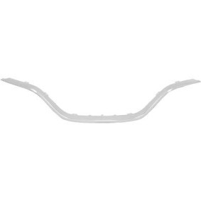 Pirkti DIEDERICHS Dangtis, radiatoriaus grotelės 4406242